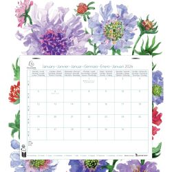 Calendrier mensuel EasyCal Fleurs avec feuillets détachables 24 x 18 cm agrafé sur plaque cartonnée imprimée 27,5 x 30,5 cm 2026