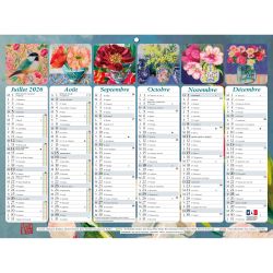 Calendrier Sophie Adde avec illustrations 29,5 x 22 cm Semestriel 2026