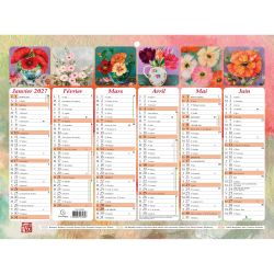 Calendrier semestriel Sophie Adde avec illustrations 29,5 x 22 cm Semestriel 2027